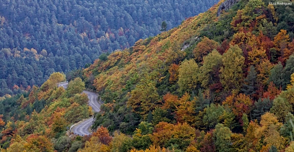Jornada ‘Ecoturismo y desarrollo rural’ en Castilla y León
