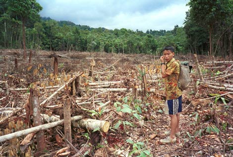 Greenpeace anima a Noruega e Indonesia a lograr un buen acuerdo que salve las selvas tropicales y el clima