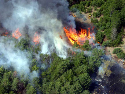 Controlado el incendio forestal en el municipio de Bédar (Almería)