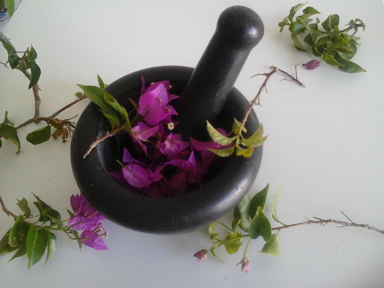 Colorantes naturales y materiales conductores mejoran el rendimiento de las placas solares