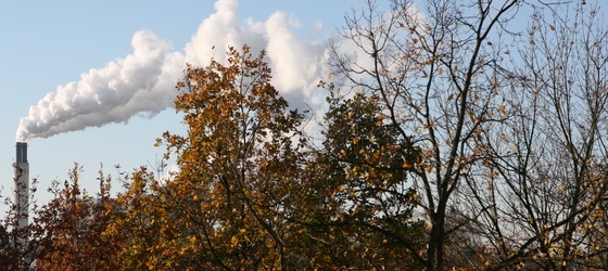 Castilla – La Mancha arranca la Comisión Regional de Cambio Climático para impulsar políticas que respeten el medio ambiente