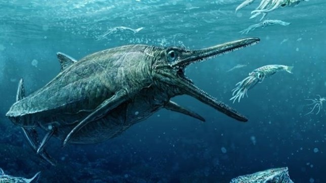 Conoce al ictiosaurio que vivió hace 170 millones de años en Escocia
