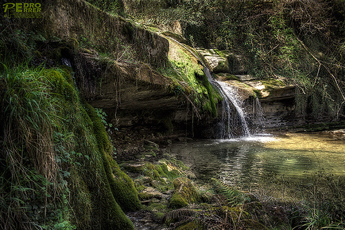 El MARM edita un plano explicativo para recorrer el Camino Natural de las Merindades en Burgos