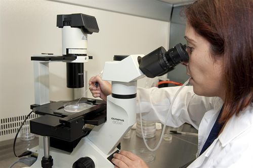 El Banco Español de Algas cuenta con una de las mayores colecciones de cepas axénicas