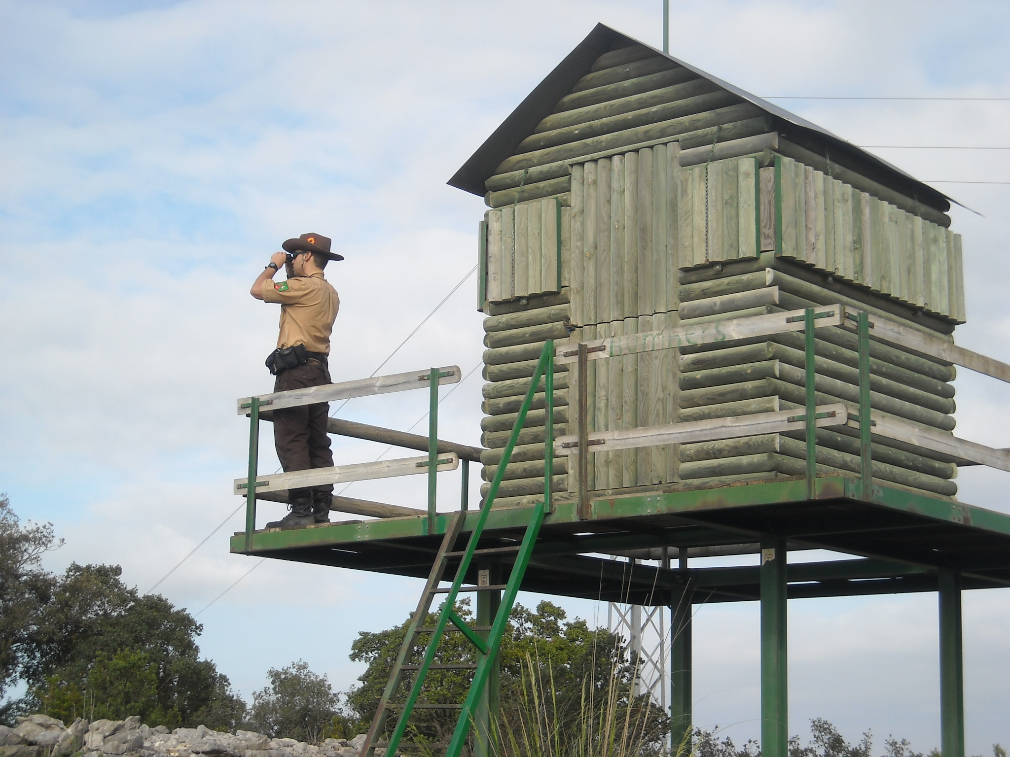 FEDGUAR pide la dimisión del Director General de la Guardia Civil por dejadez hacia los auxiliares de la Guardia Civil