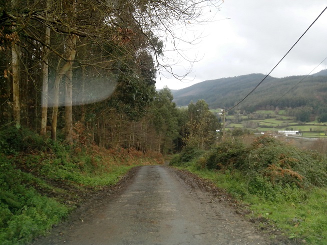 Medio Ambiente arranca las obras del Camino Natural de San Rosendo en el tramo Mondoñedo – Foz