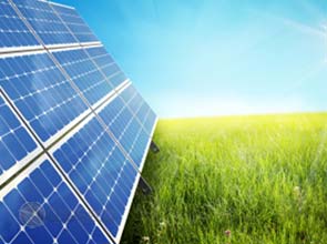 Trina Solar Q2 net revenue slightly increases