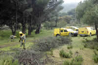 La Comunidad de Madrid prepara 1.500 hectáreas de montes de la región para evitar incendios este verano