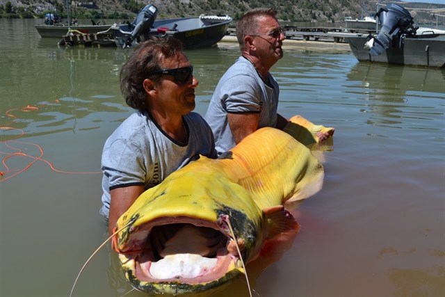 El Gobierno recuerda que los trasvases no se aprueban sin autorización de las Cortes Generales