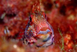 El puerto exterior de pasaia es ilegal y no asegura puestos de trabajo