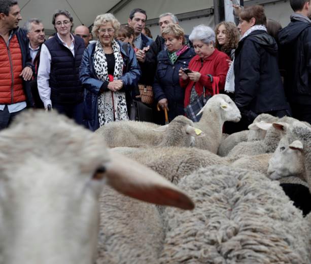 Madrid se ‘vuelca’ con el camino de la Trashumancia