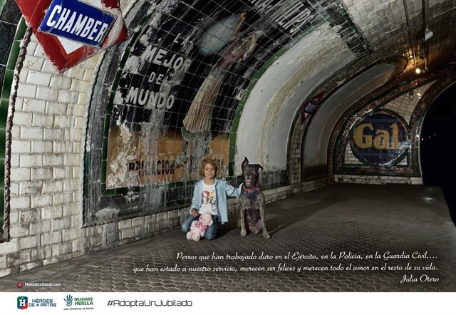 Arranca la segunda edición de #AdoptaUnJubilado que fomenta la adopción de perros retirados