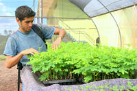 El CREAF y el IRTA colaboran con Nicaragua en el estudio del trópico seco