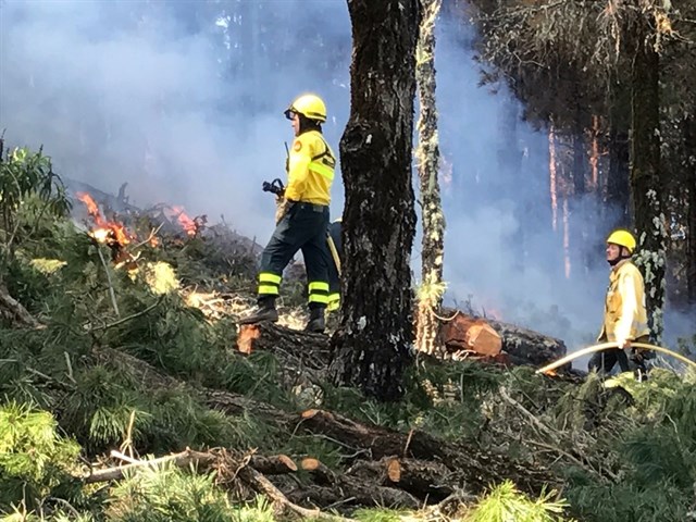 El Cabildo de Gran Canaria inicia las primeras quemas para prevenir incendios forestales