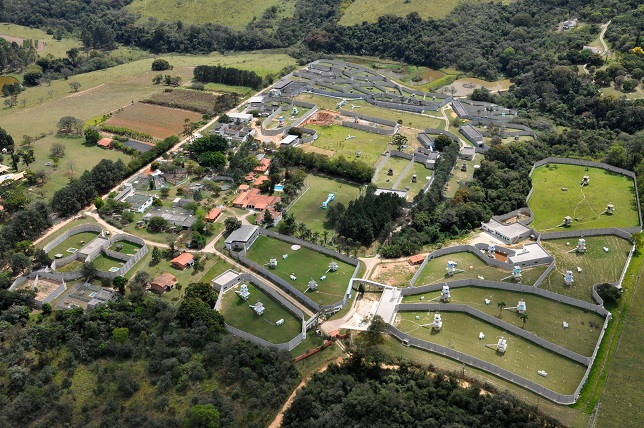 Luchando para que diez chimpancés propiedad del Estado puedan ir a un santuario en Brasil