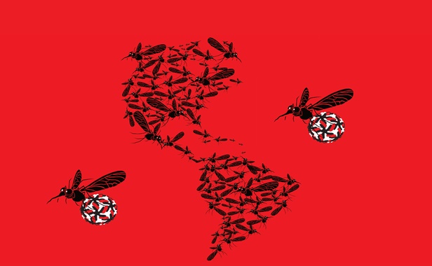 El zika pudo circular por América mucho antes de su detección en 2015