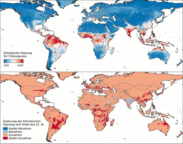 El cambio climático propagará el temido Chikungunya por EEUU