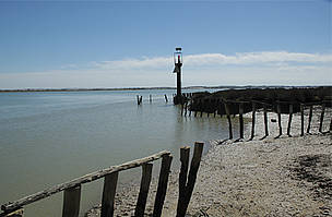 Campaña contra el Plan del Guadalquivir por las consecuencias negativas para Doñana