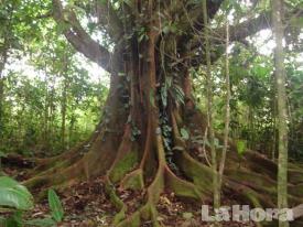 Nueva área protegida ya está en camino