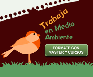 El viernes realizan VII Feria del Libro Verde