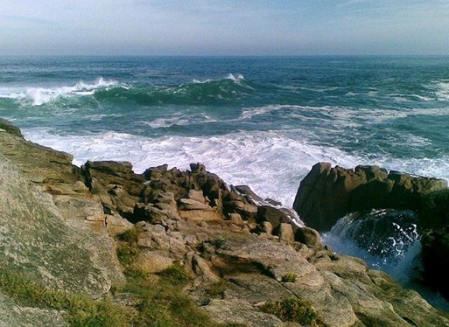 Oceana investigará el Mar del Norte