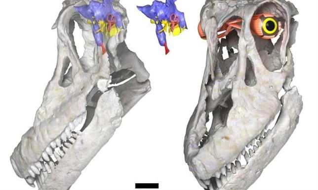 Conoce el ‘titanosaurio’