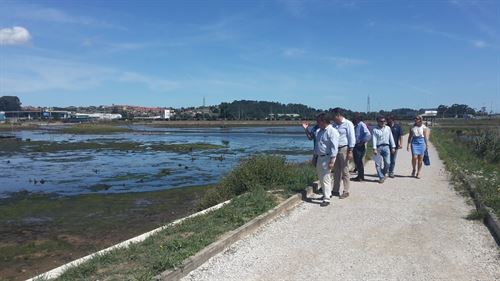 Concluye la recuperación medioambiental de las Marismas Negras de Cantabria