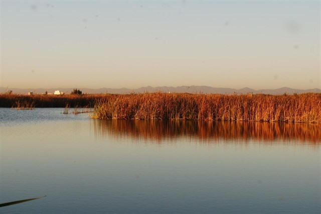 La Generalitat Valenciana dice que el nivel del agua de la Albufera ha mejorado