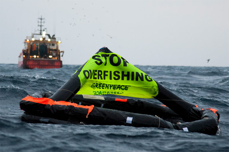Greenpeace continúa su expedición en el Atlántico Norte en defensa de los océanos