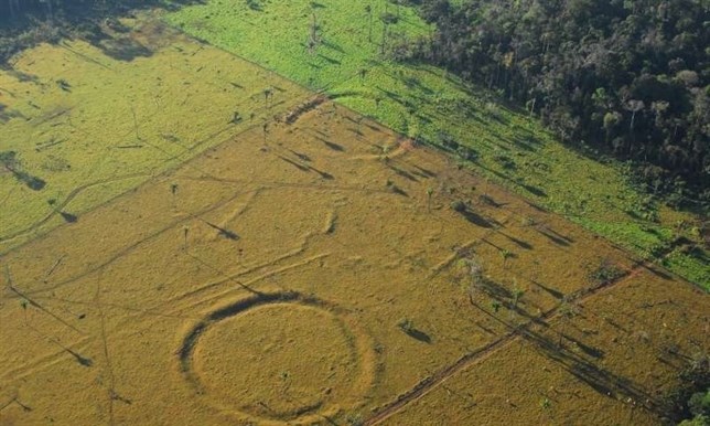 En Brasil aparecen misteriosos geoglifos en la Amazonia deforestada