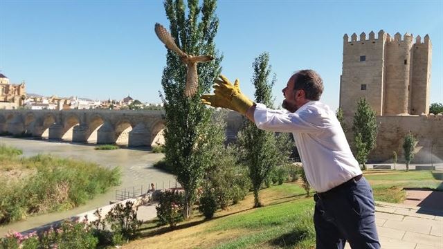 Liberados 17 animales recuperados por el CREA en los Sotos de la Albolafia de Córdoba