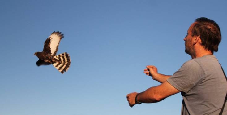 Gestión de la Fauna