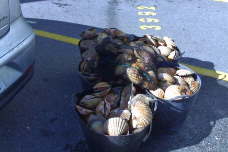 Galicia contra el furtivismo