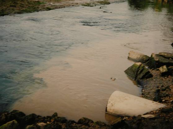 Denuncian ante la UE la contaminación de la ría de Vigo