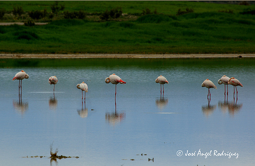 Proyecto Sierra de Baza propone la urgente catalogación y protección del humedal del Baico