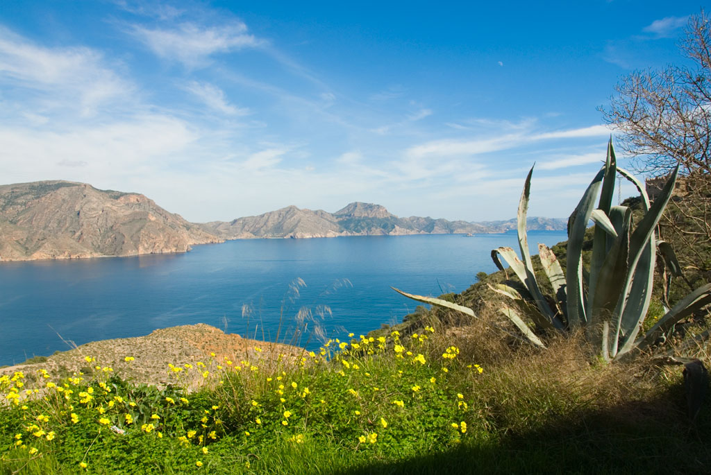 ANSE pide un mayor control de la pesca ilegal en el Mar Menor