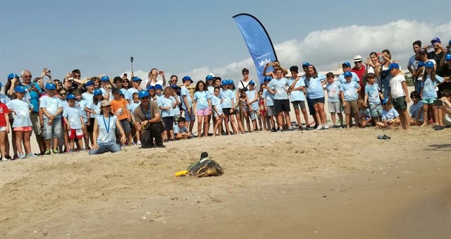 Los niños de la escuela de verano del Oceanogràfic sueltan en El Saler la tortuga marina Gandía