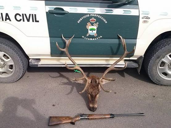 Palencia. Furtivo pillado y expedientado