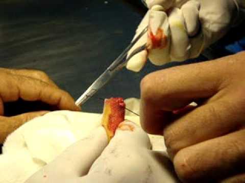 Extraños compañeros de viaje