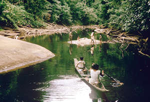 Informe expone cómo una presa amenaza ‘El mundo perdido’