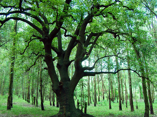 Entrevista a Txema Becerril