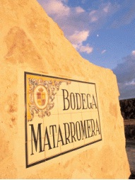 Forbes ha señalado al grupo bodeguero Matarromera como ‘ejemplo en sostenibilidad y medio ambiente’