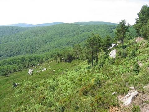 La Red de Municipios Forestales pide una normativa común a toda España que permita generar riqueza a partir de los recursos del monte