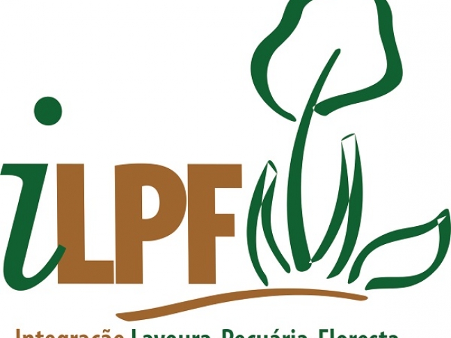 Brasil avanza en la integración agropecuaria forestal