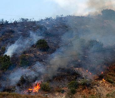 El fuego ha quemado en lo que va de año 405 hectáreas en Andalucía