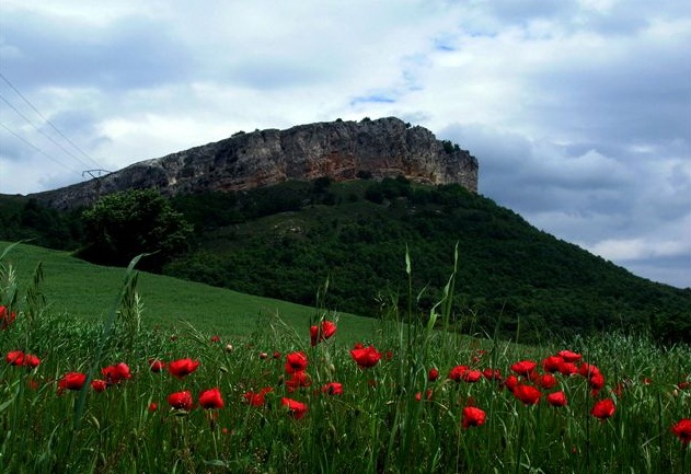 Plan de Ordenación de los Recursos Naturales (PORN) del Parque Natural de los Montes de Vitoria