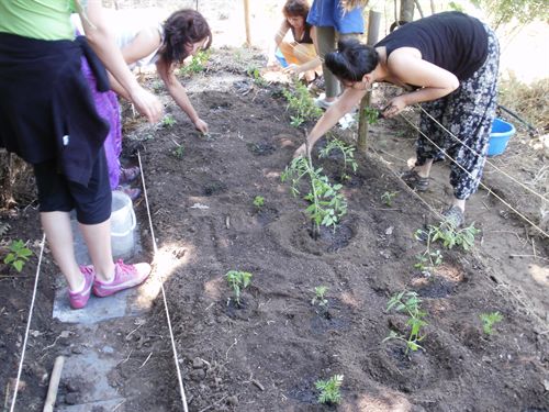El II Festival de Sostenibilidad y Creatividad en Villanueva de la Vera fomenta valores ambientales y sociales