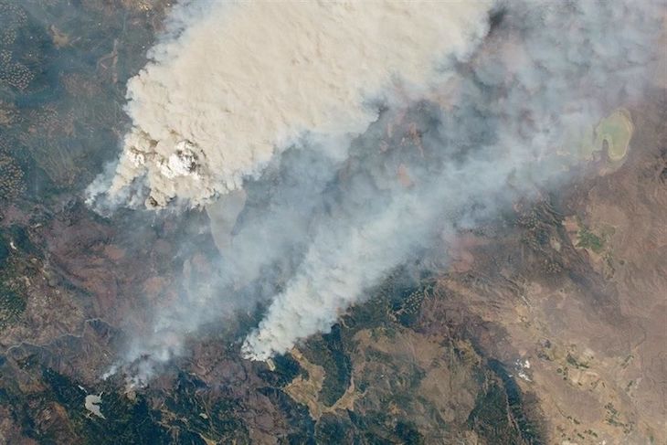 Incendios forestales del hemisferio norte y su cifra récord de CO2