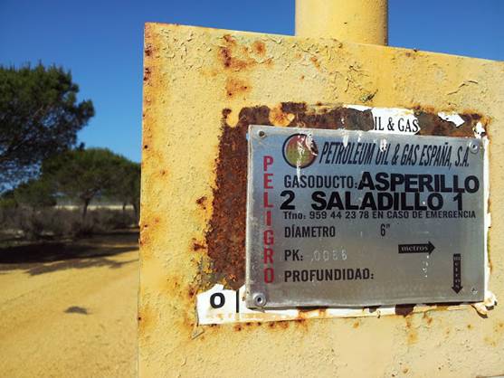 Andalucía aborda con ecologistas los proyectos de extracción y almacenamiento de gas en Doñana
