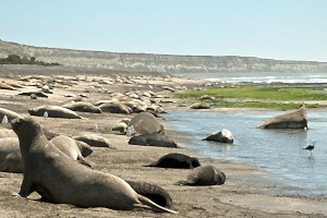 Argentina gana Reserva de Biósfera en la Península Valdés